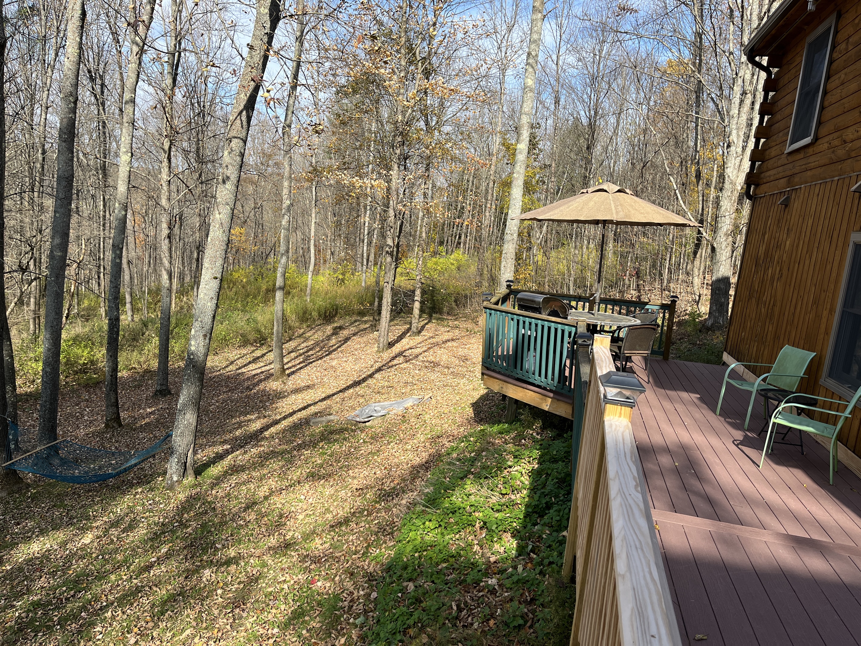 Back deck and hammock spot below