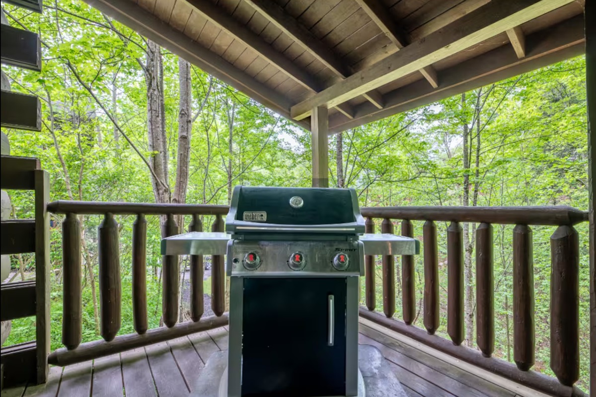 Or grill out on our gas grill and enjoy!