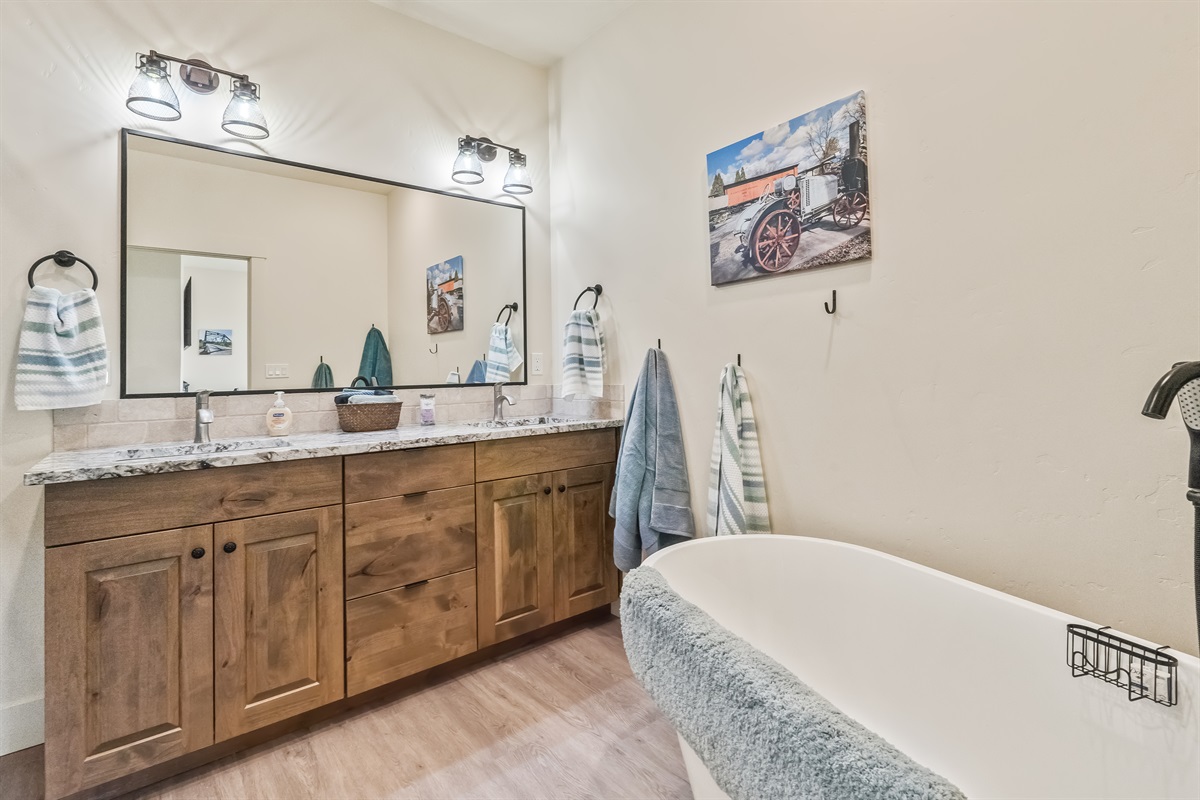 Primary Vanity and Tub