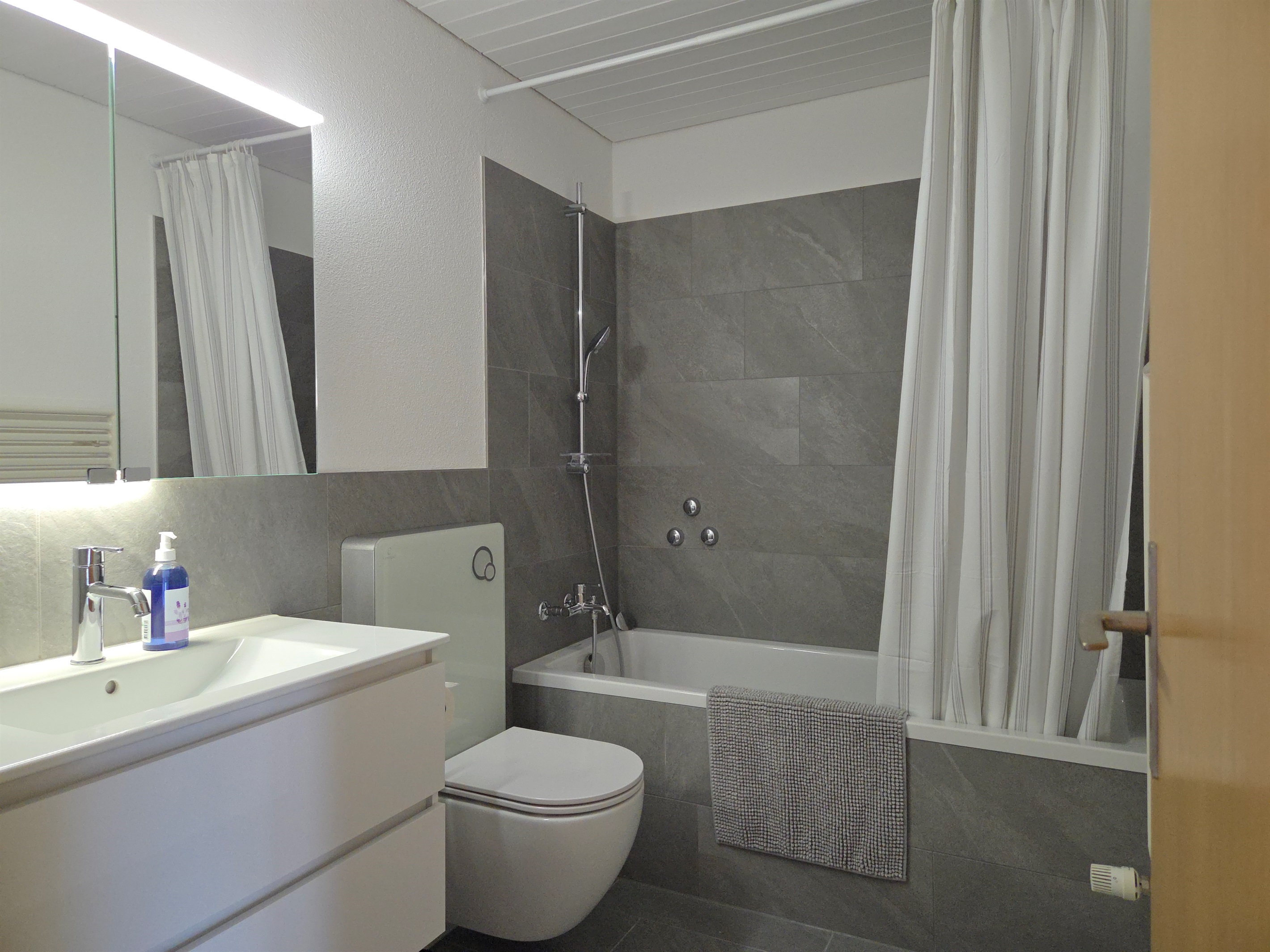 Bathroom with shower / bathtub and WC