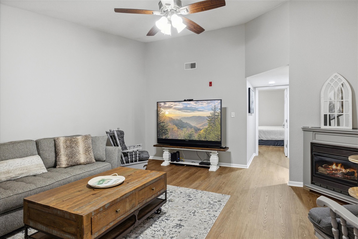 Flat Screen Tv in living area