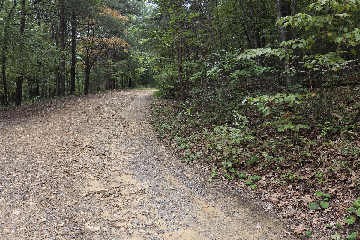 Road leading to the cabin