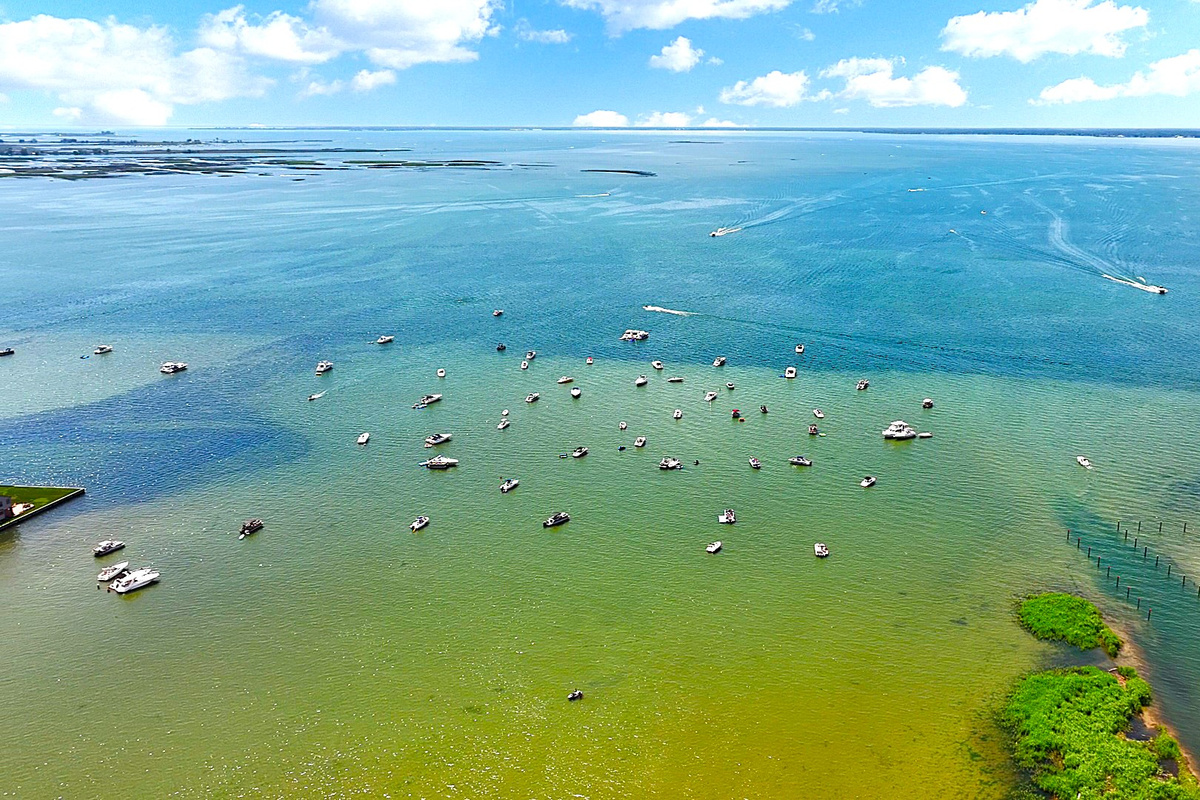 Discover one of Lake St. Clair's favorite gathering spots, where boaters drop anchor, enjoy the shallow waters, and spend unforgettable summer days on the lake.