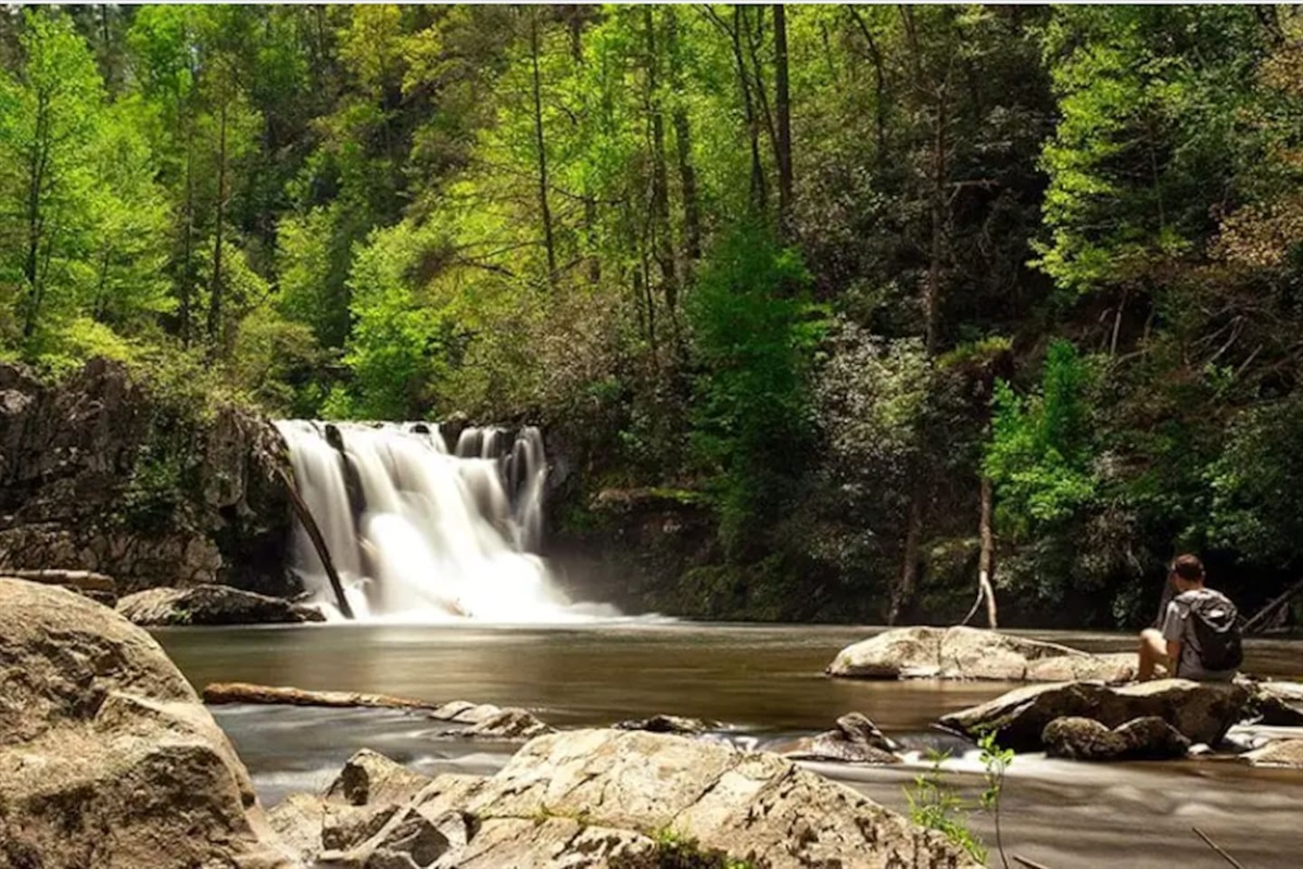 Now choose your adventure! Hike to a waterfall in Cade's Cove. This is Abrams Falls, where you can jump in the large swimming hole away from the rush of the falls. Or for a calmer swim, try Greenbrier Swimming Hole!