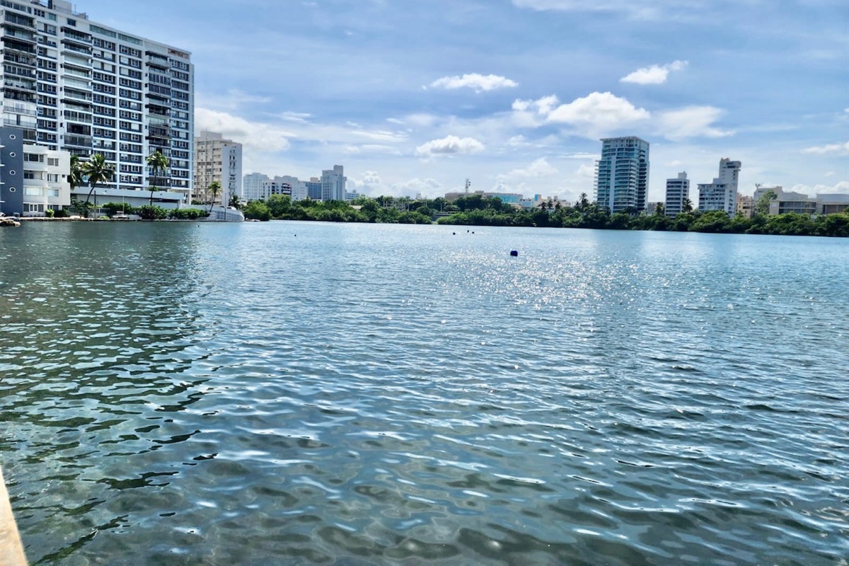 LAGOON AREA