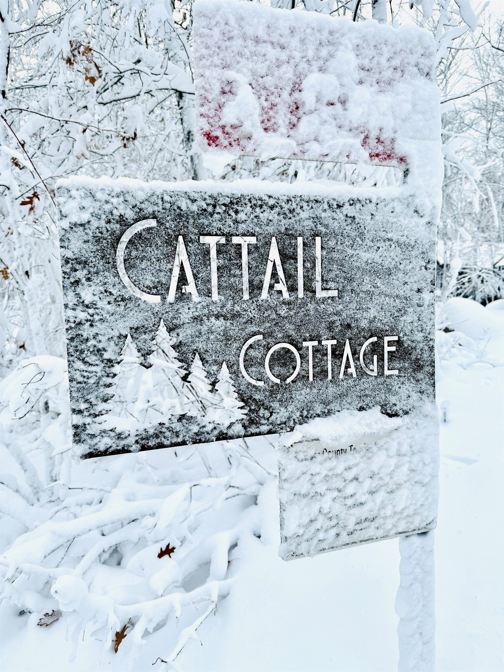 Welcome to Cattail Cottage!