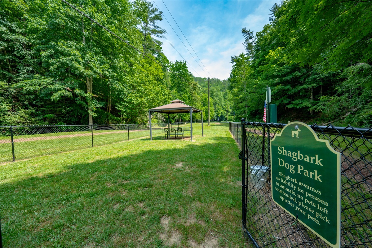 A safe and sunny spot for the little ones to burn off energy