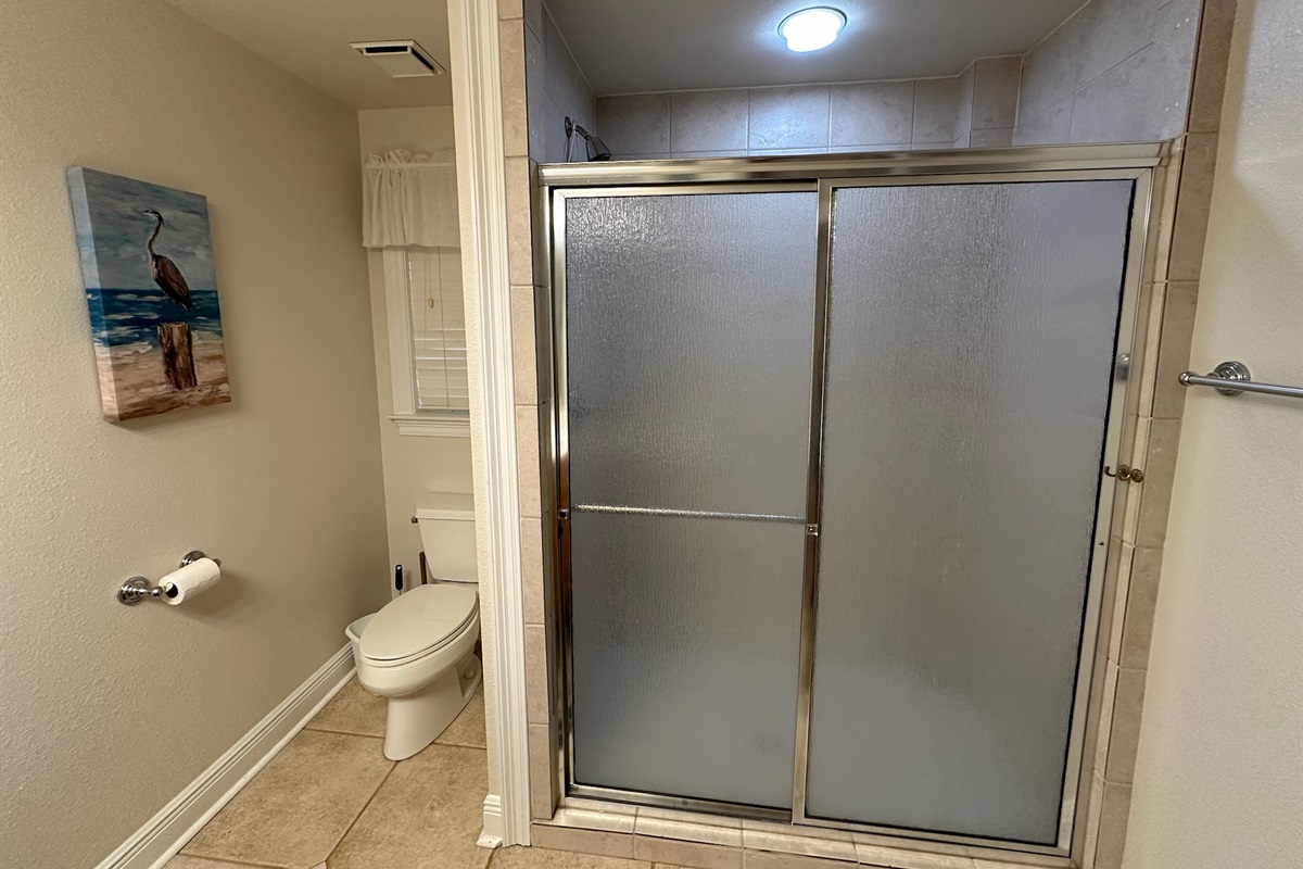 Guest bathroom-Downstairs