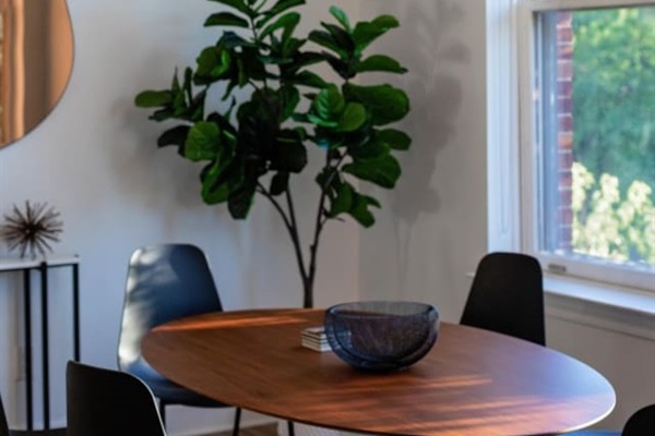 "It’s a wonderful apt with modern decor but great history in the house & the neighborhood. " - Catherine, 5 Star Review