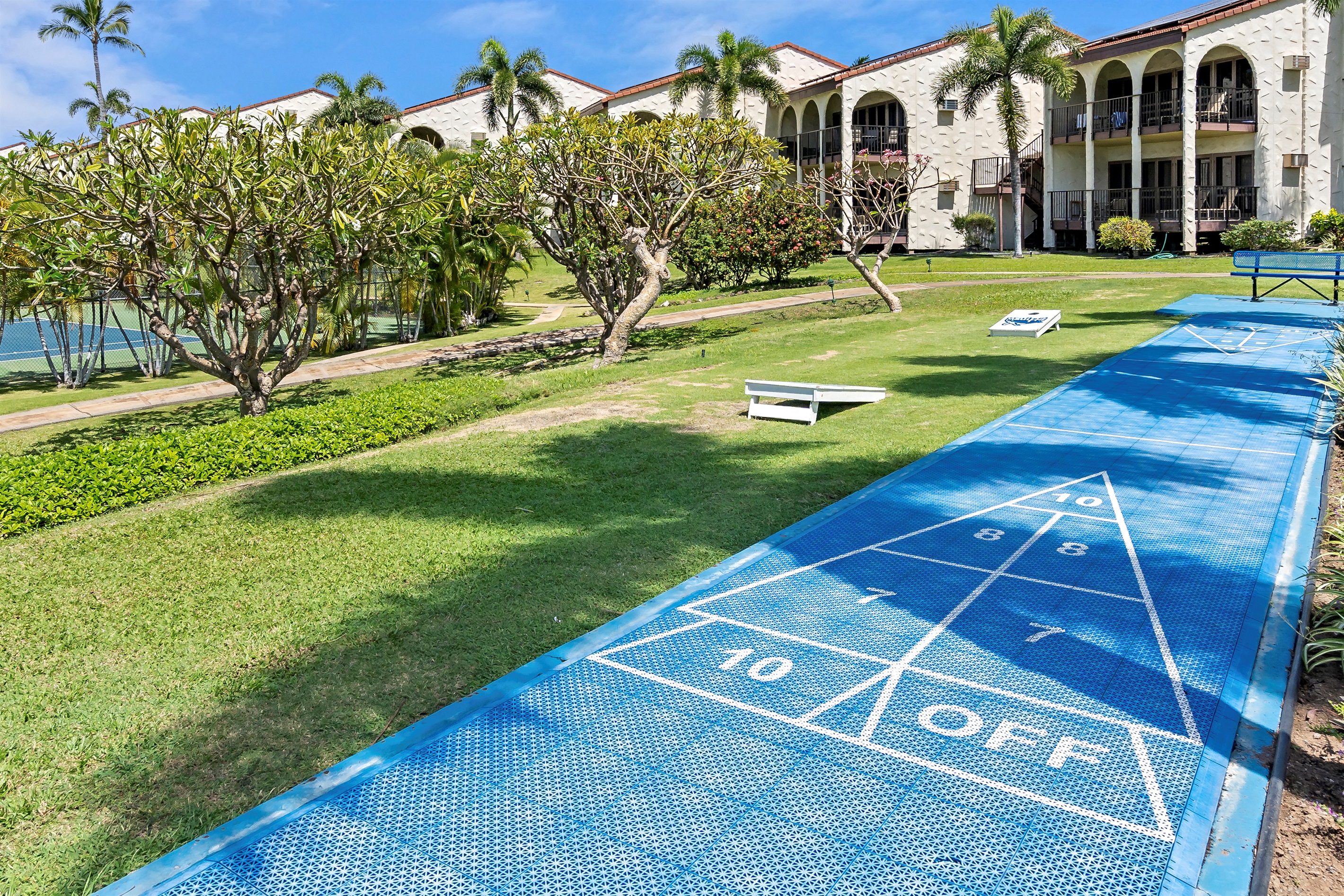 Fierce competition at the shuffleboard court