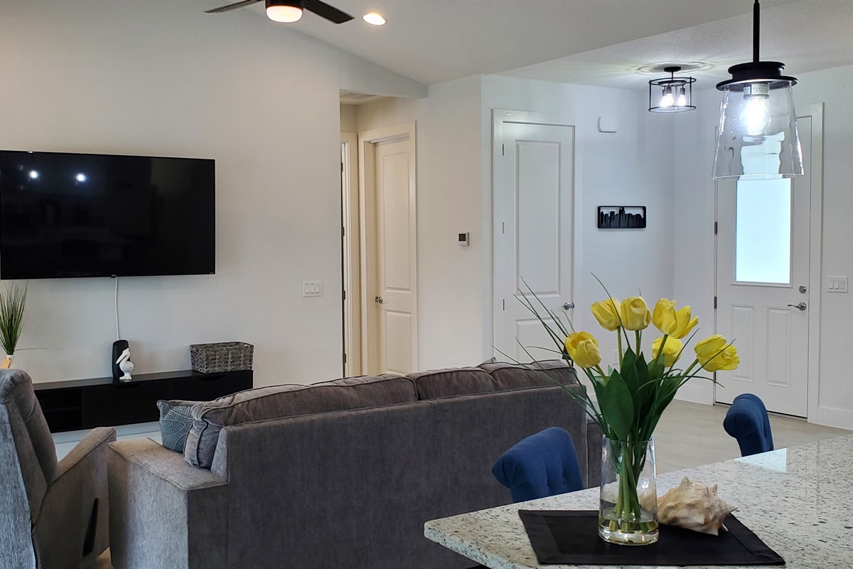 Living room and entryway