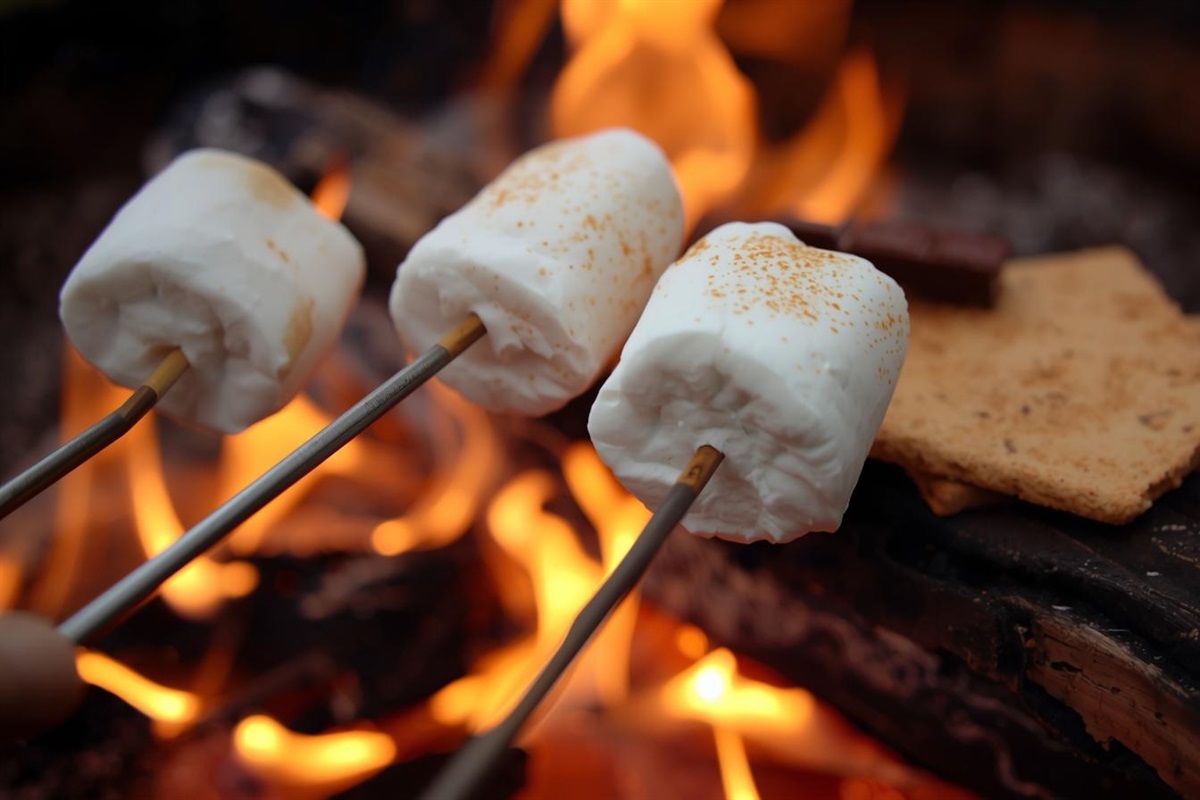 Marshmallows by the fire