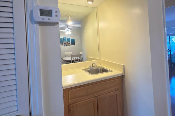 Wet bar sink