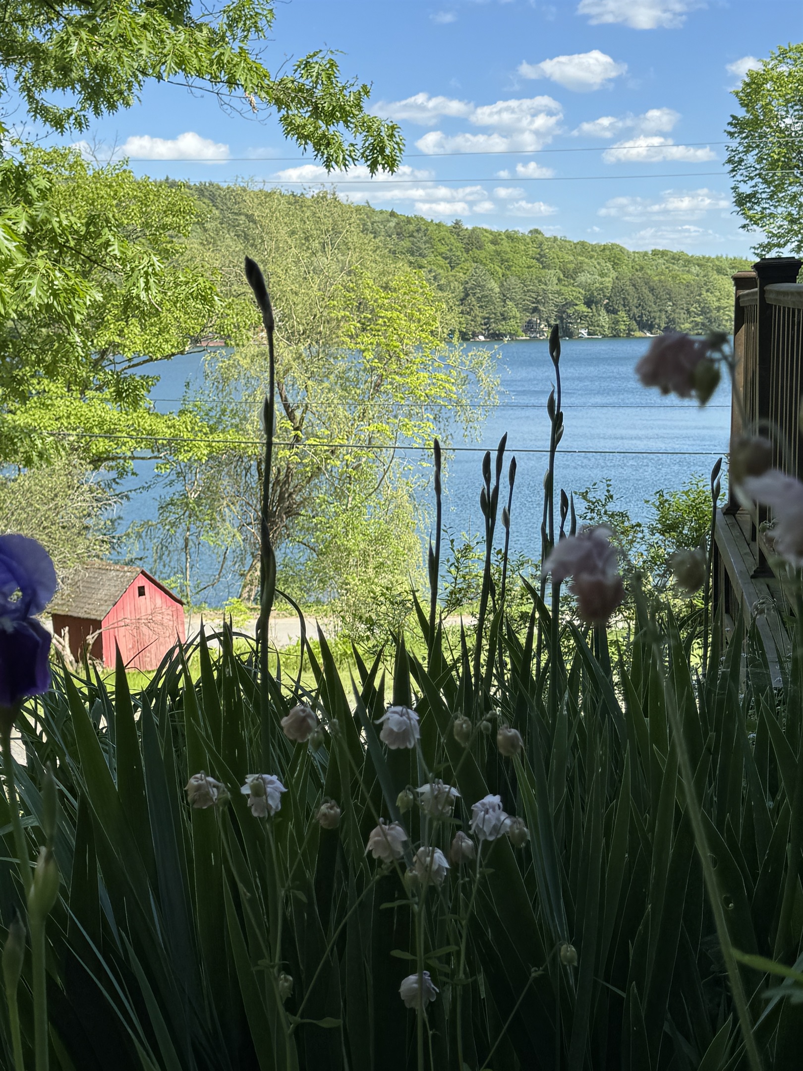 Beautiful flowers at Camp Easley
