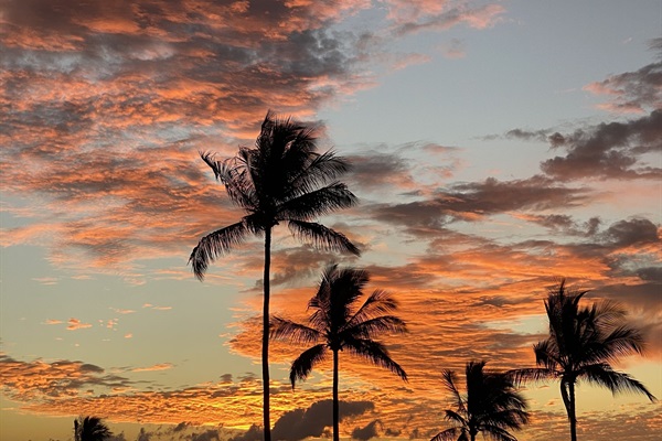 Your Wailea Sunset Condo is waiting for you to catch Maui's Aloha Spirit! -WE607