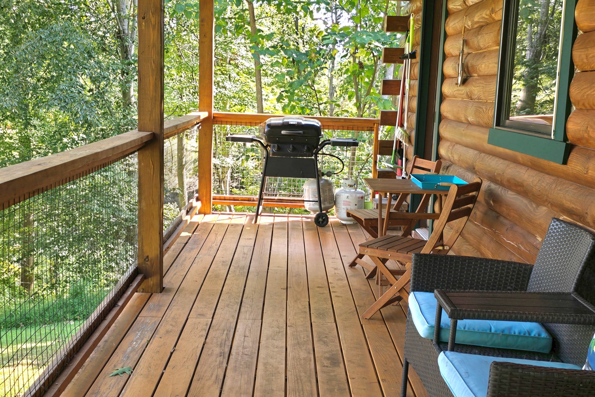 Back Deck with Grill
