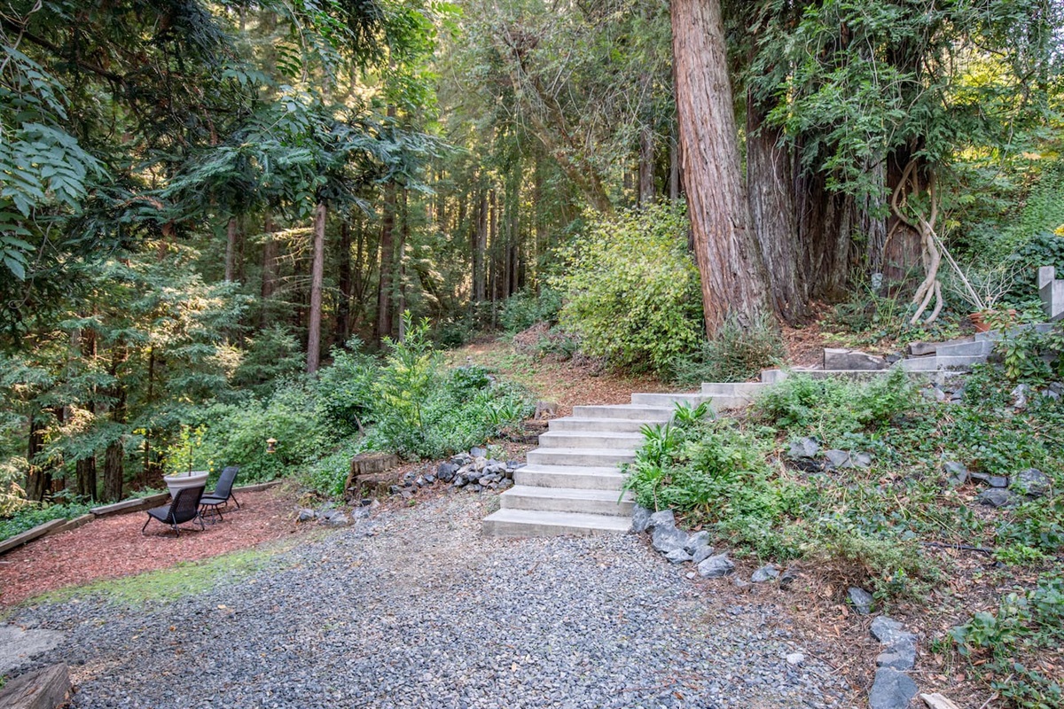 Enjoy a peaceful walk down the scenic path to our lush lower garden!