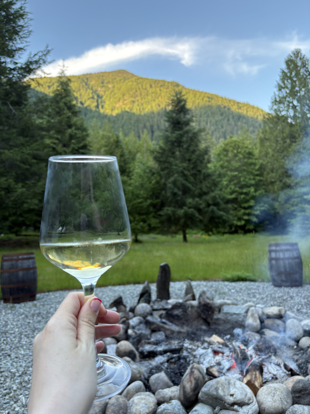The view of Lookout Mountain from our fire pit amongst the forest :) 