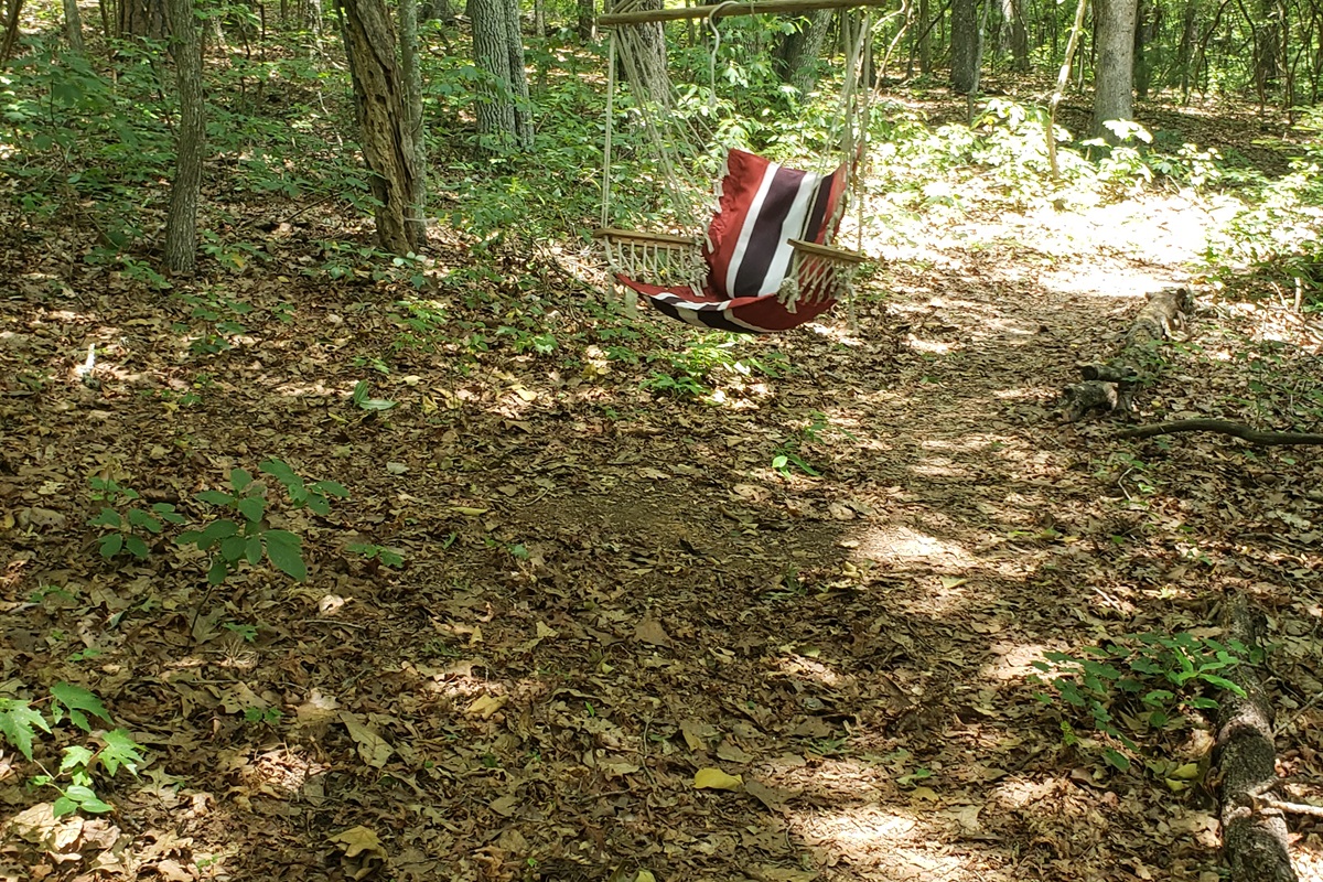 Swing 50ft from the door