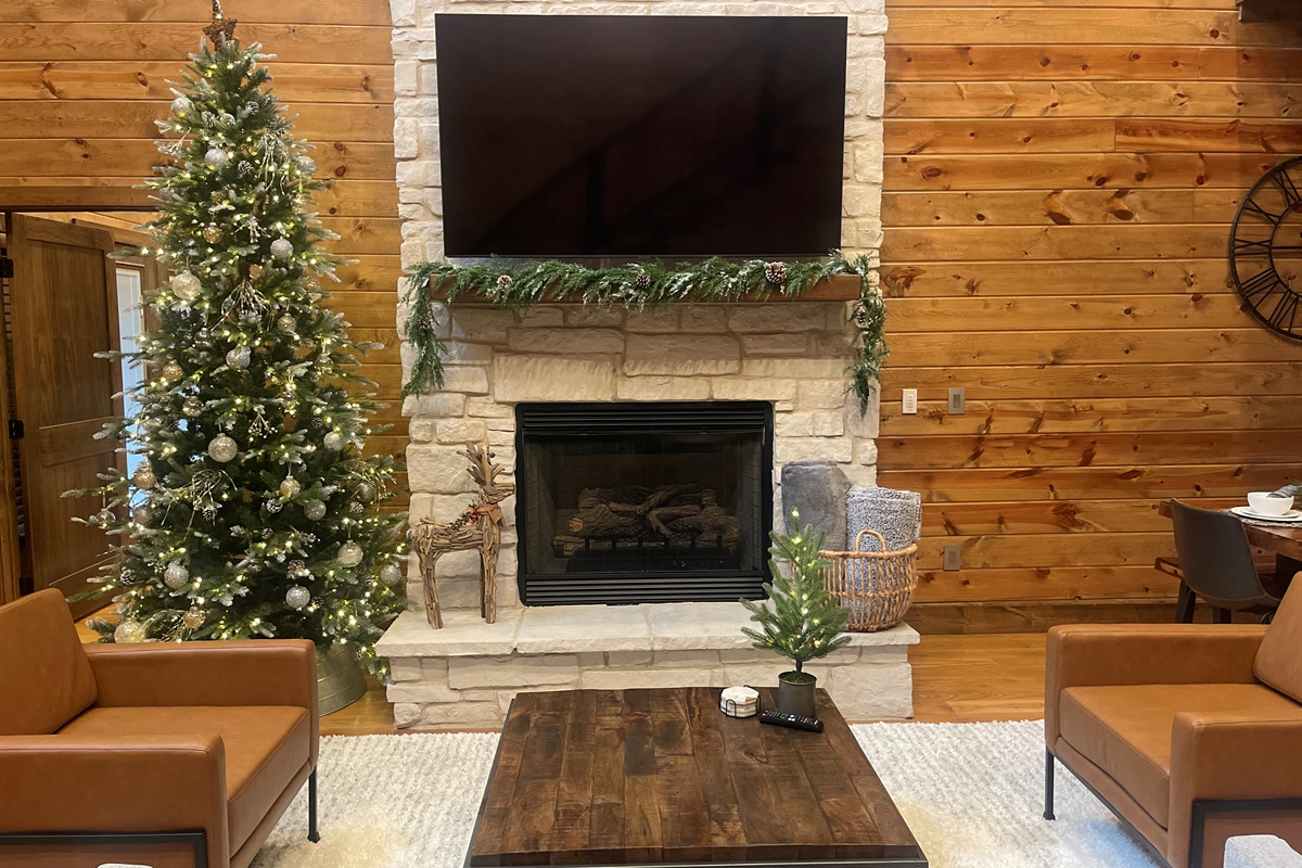 Dressed up for the holidays!