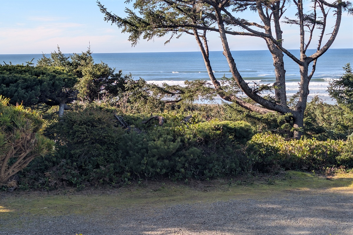 view from front deck