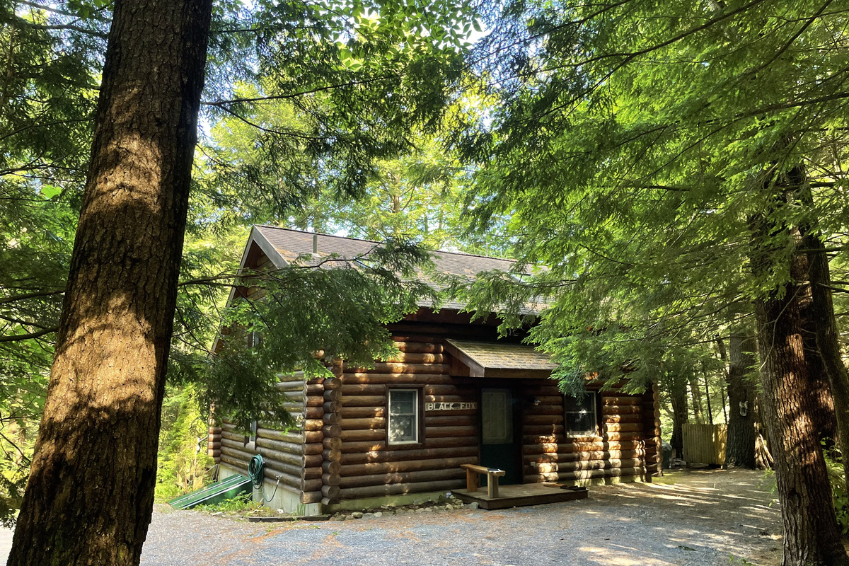 Nestled in a White Pine and Hemlock Forest