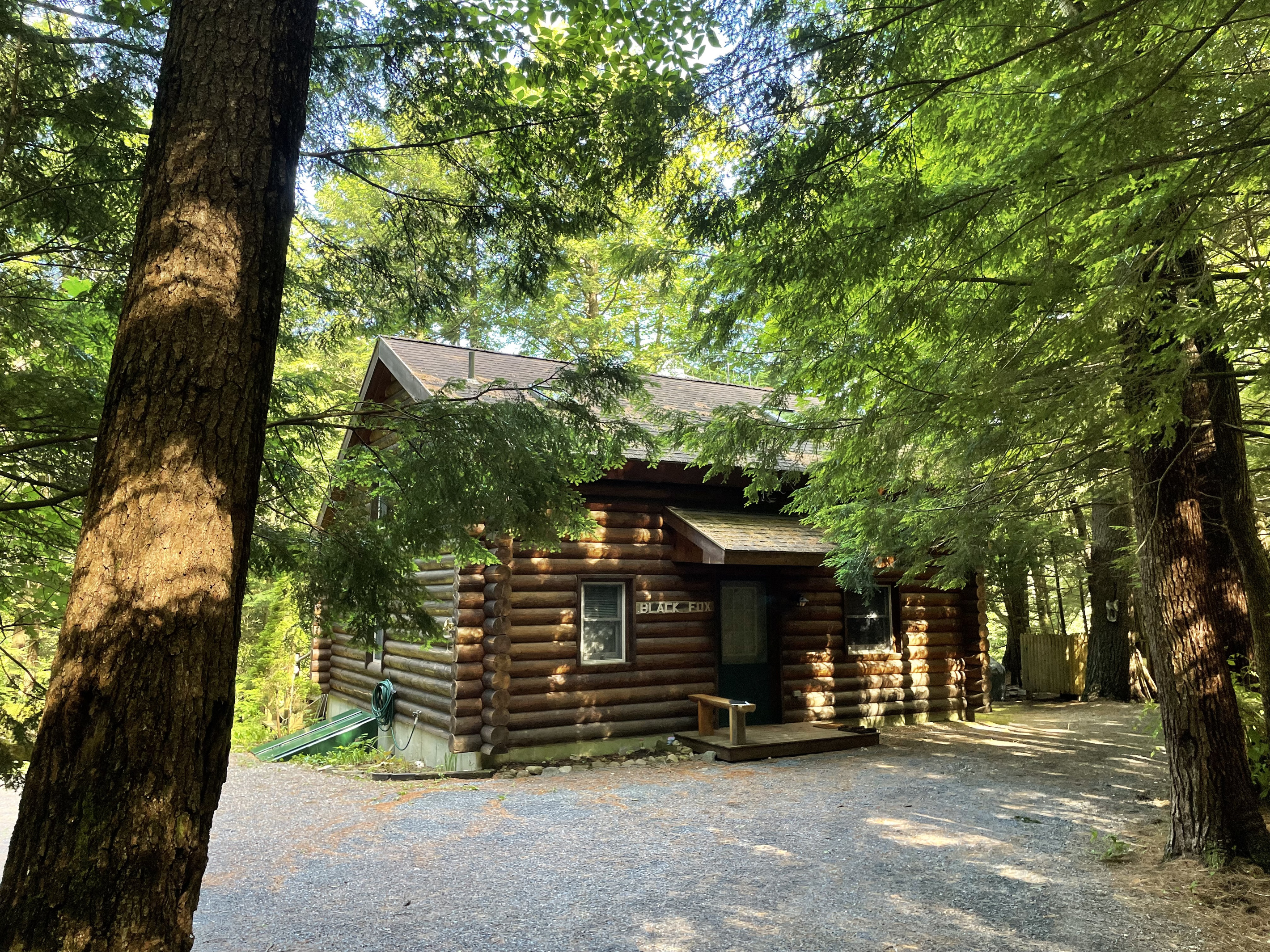 Nestled in a White Pine and Hemlock Forest