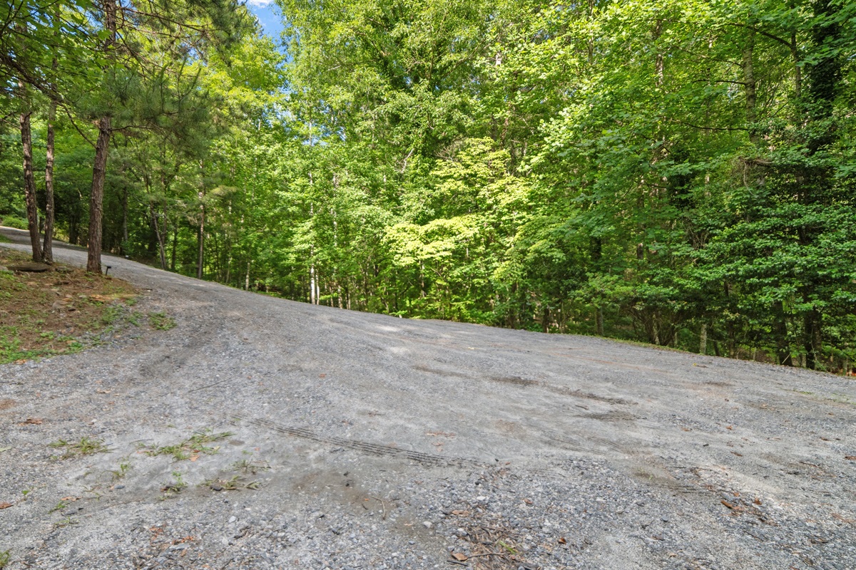 Driveway leading to the two properties - plenty of parking