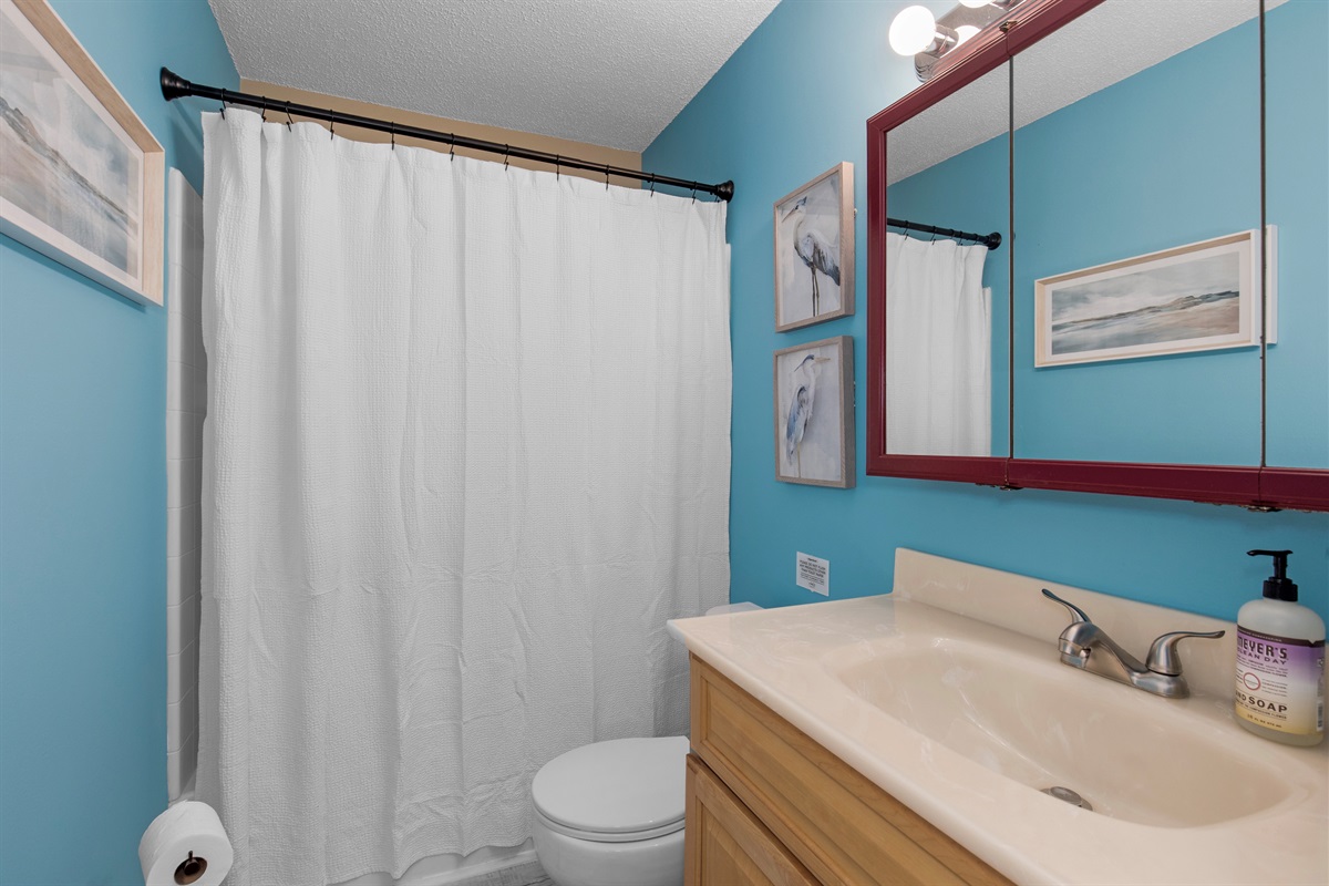 Hall Guest Bathroom