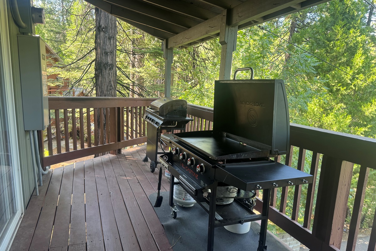 36” Blackstone and propane BBQ