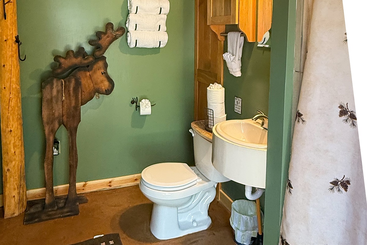 Sink and toilet area featuring moose and bear décor