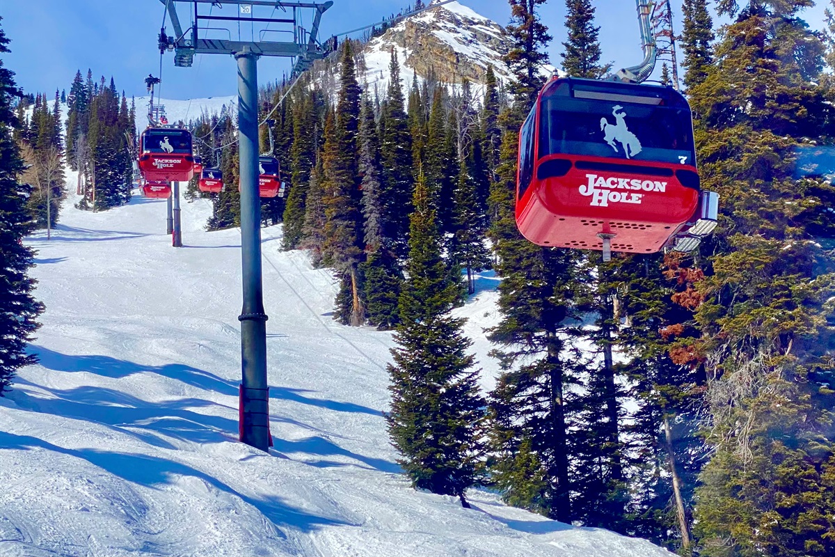 Skiiers and Snowboarders - it doesn't get better than this. From the house, you'll have access to thousands of acres of terrain, from family-friendly Grand Targhee Ski Resort to advanced Jackson Hole Mountain Resort.  Book today and play tomorrow! 