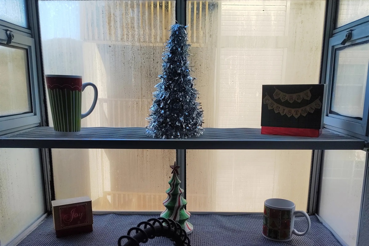 Christmas cheer everywhere!