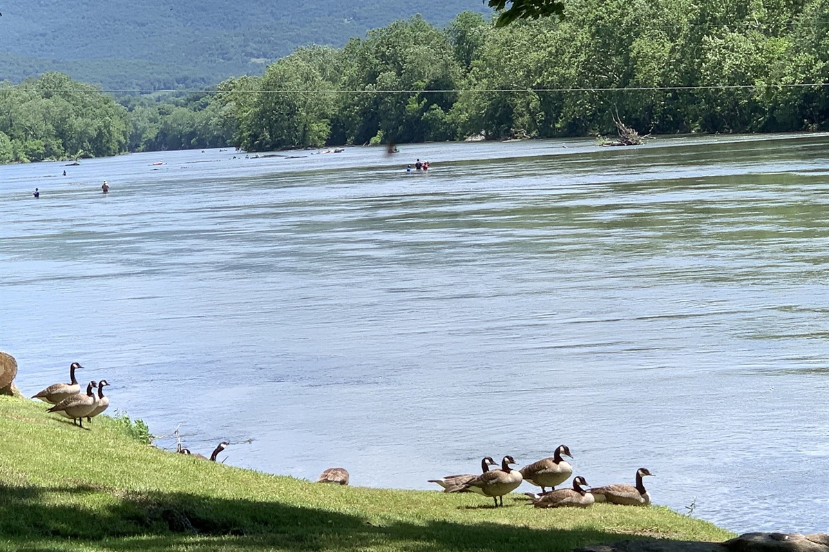 Watch the wildlife!