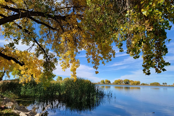 Romantic lake views perfect for photos, picnics, hammocking, and nature lovers. Bird watchers can observe Bald Eagles, Sparrows, Robins, Yellow Warblers, European Starling, Yellow Warbler, Red & Yellow-headed Blackbirds, Mockingbirds, Orioles, and more. 