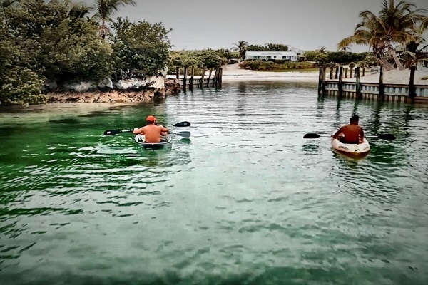 Explore calm waterways by kayak and discover a different side of the island at your own pace.