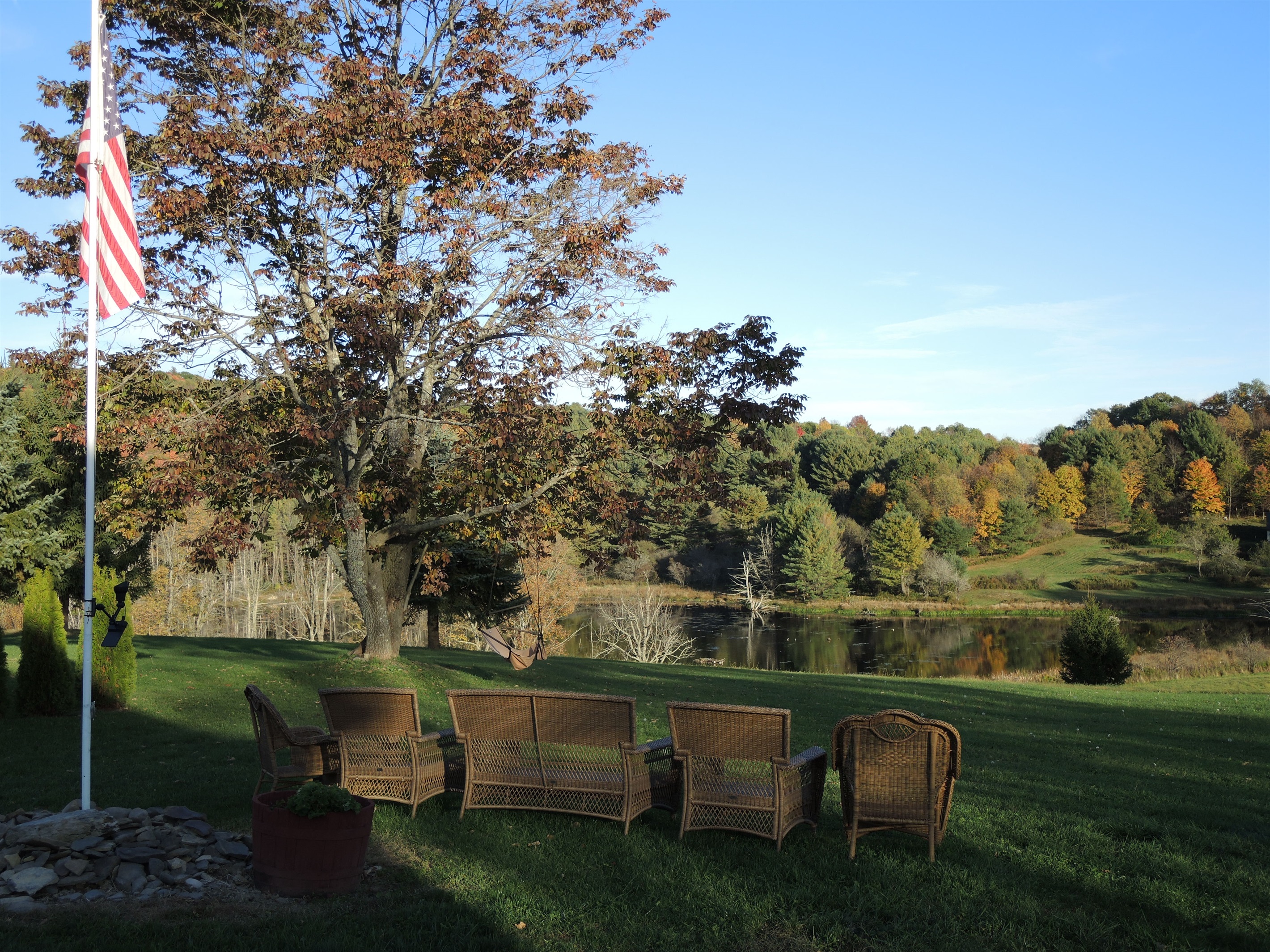 View of the beaver pond from the yard