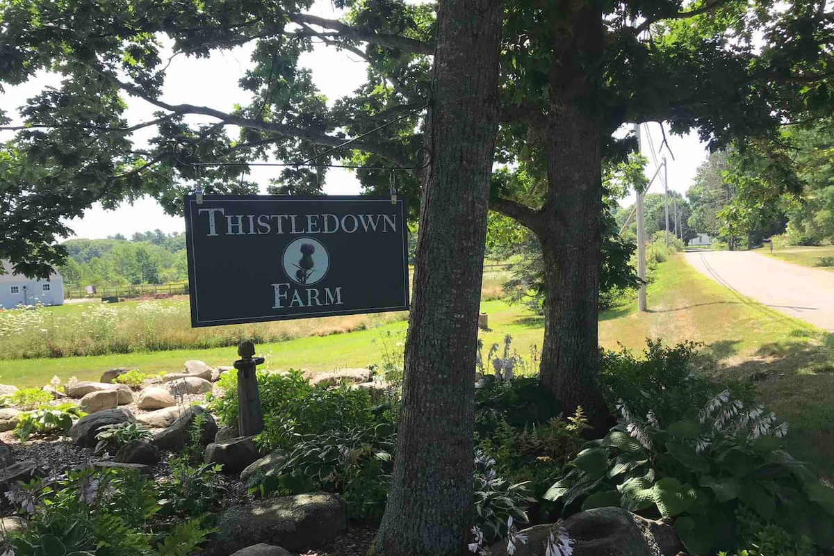 Welcome to Thistledown Farm!
