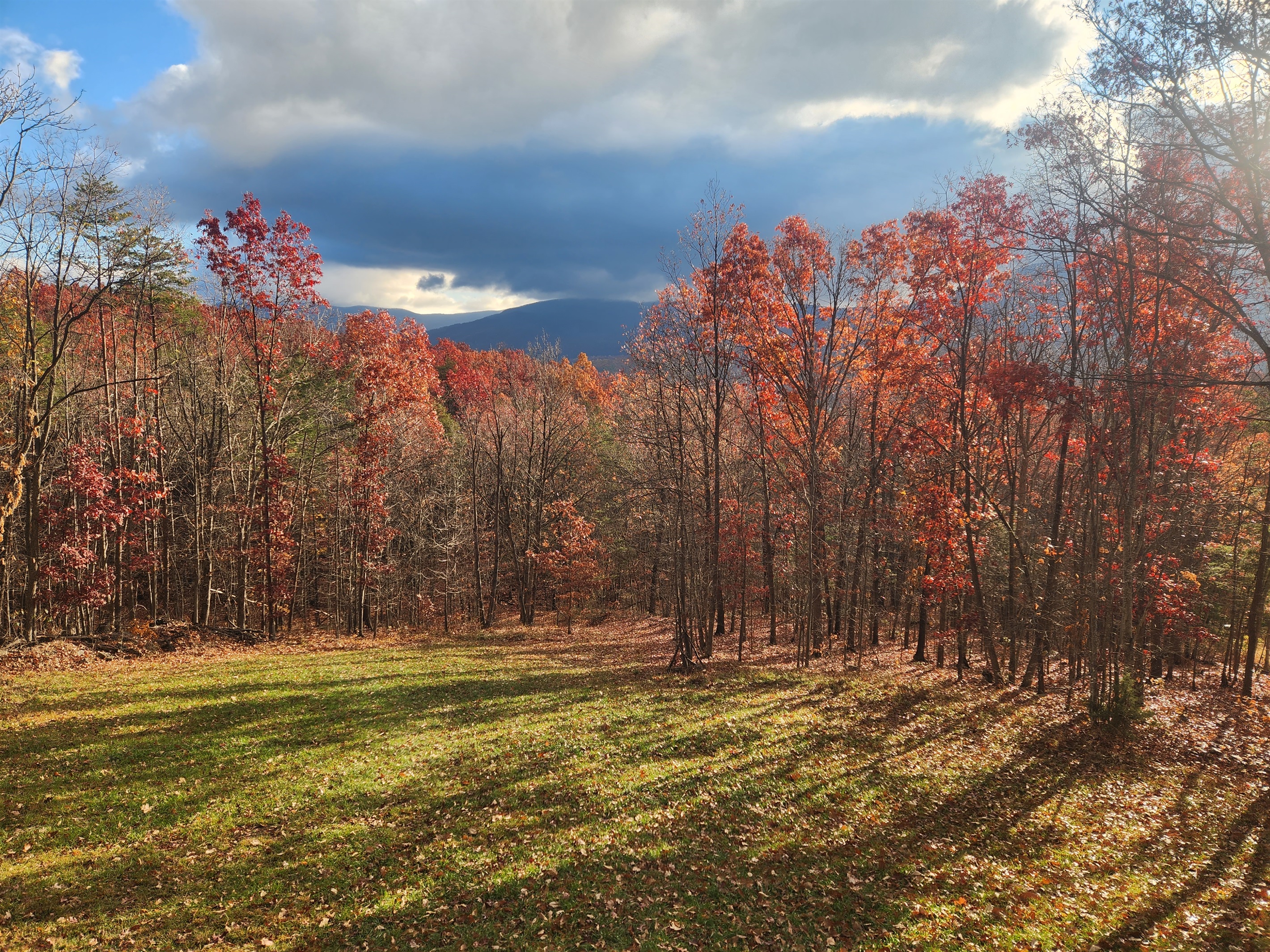 Beautiful mountain views surrounded by peaceful nature