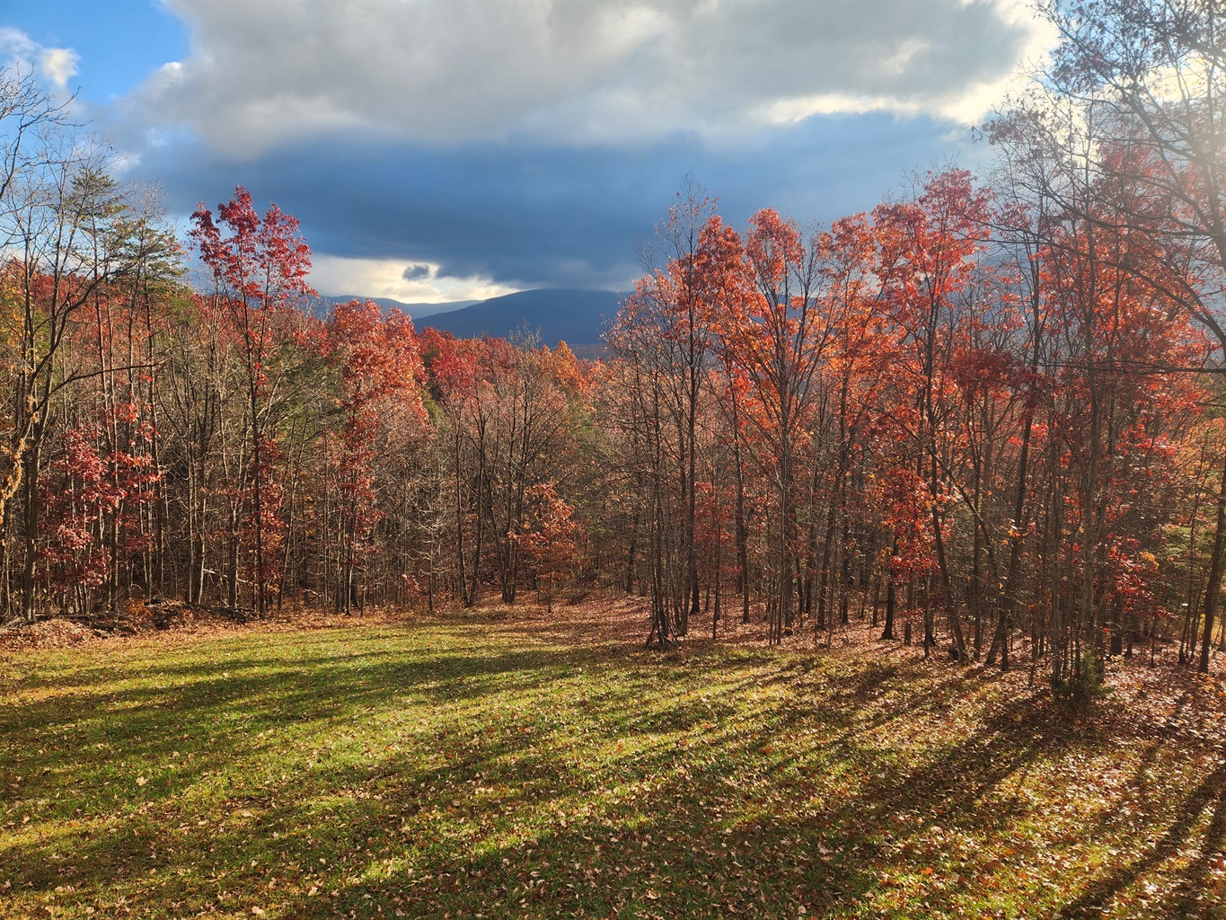 Beautiful mountain views surrounded by peaceful nature