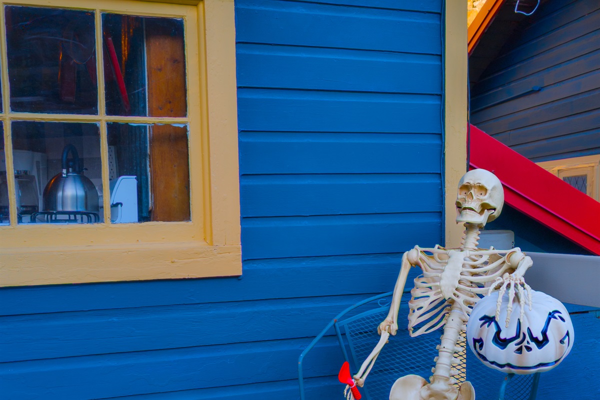Spooky sightings are waiting for you!