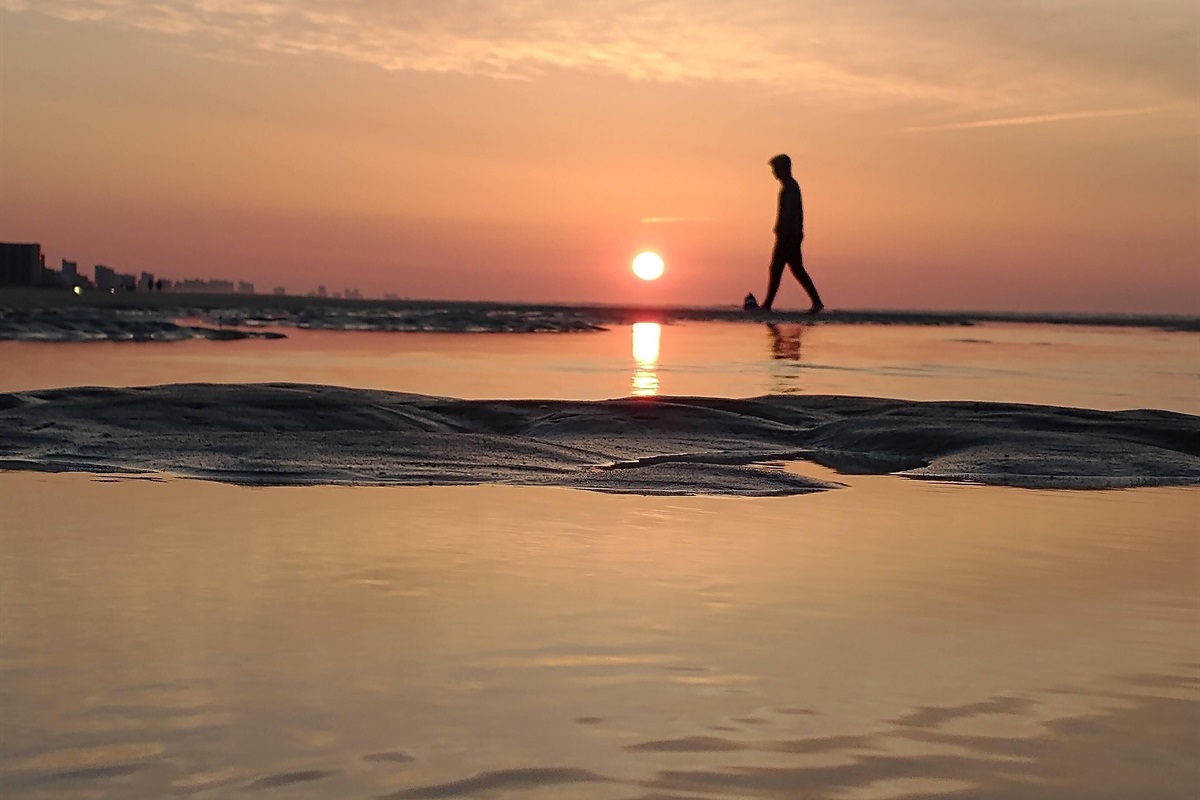 Sunrises at Seawatch are amazing!