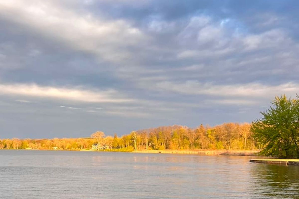 Lake view looking East form the Dock