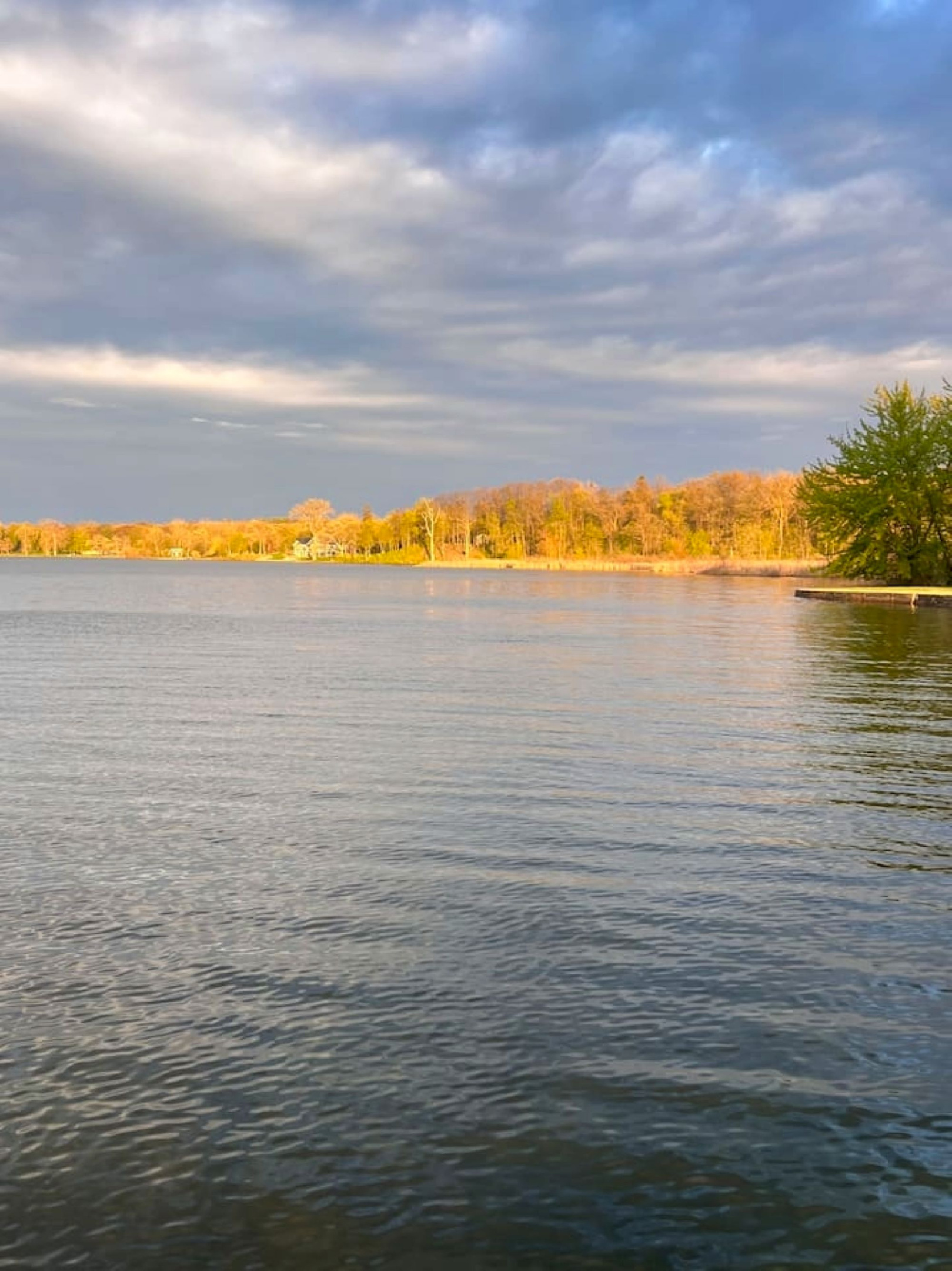 Lake view looking East form the Dock