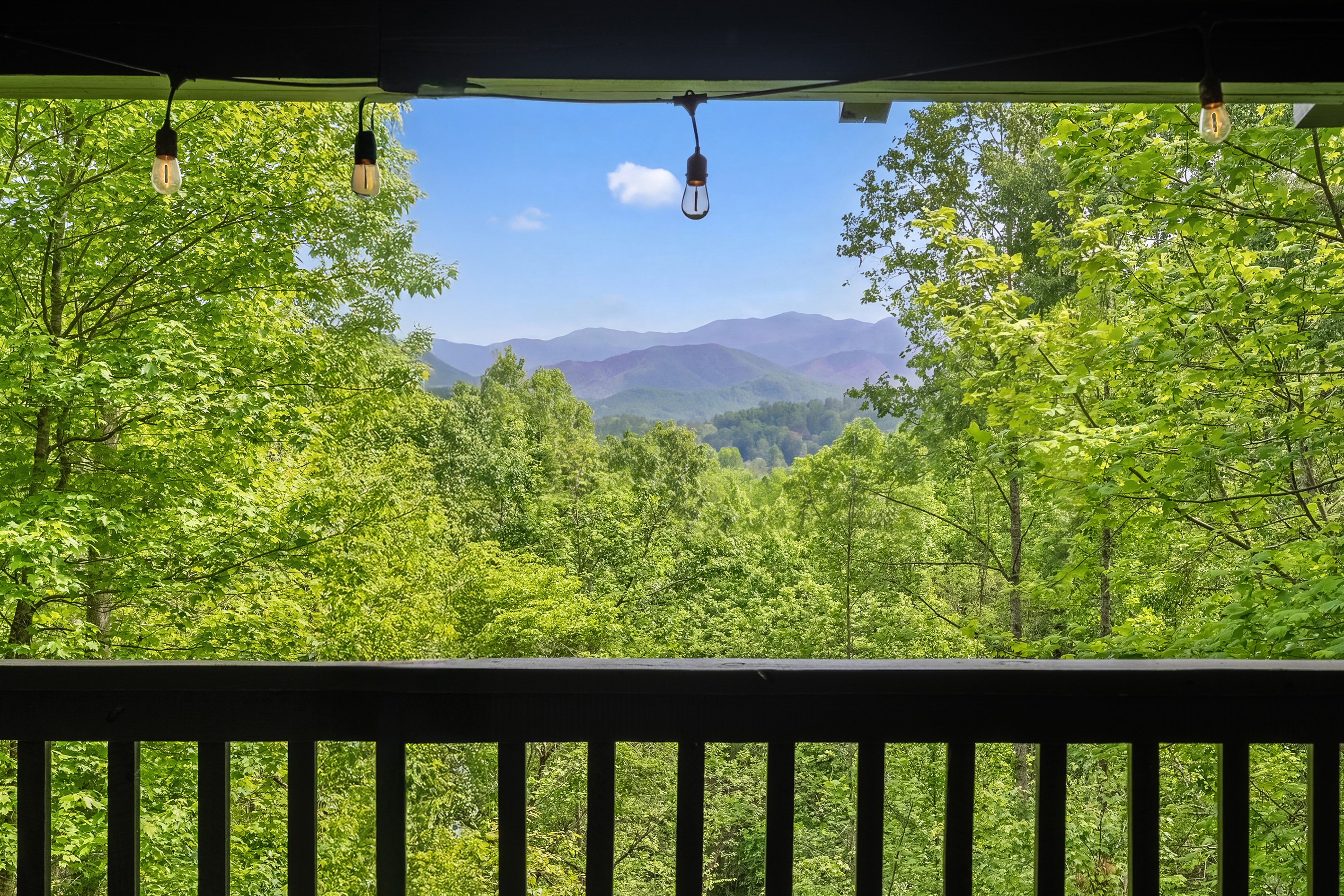 Deck views of Mt. Le Conte