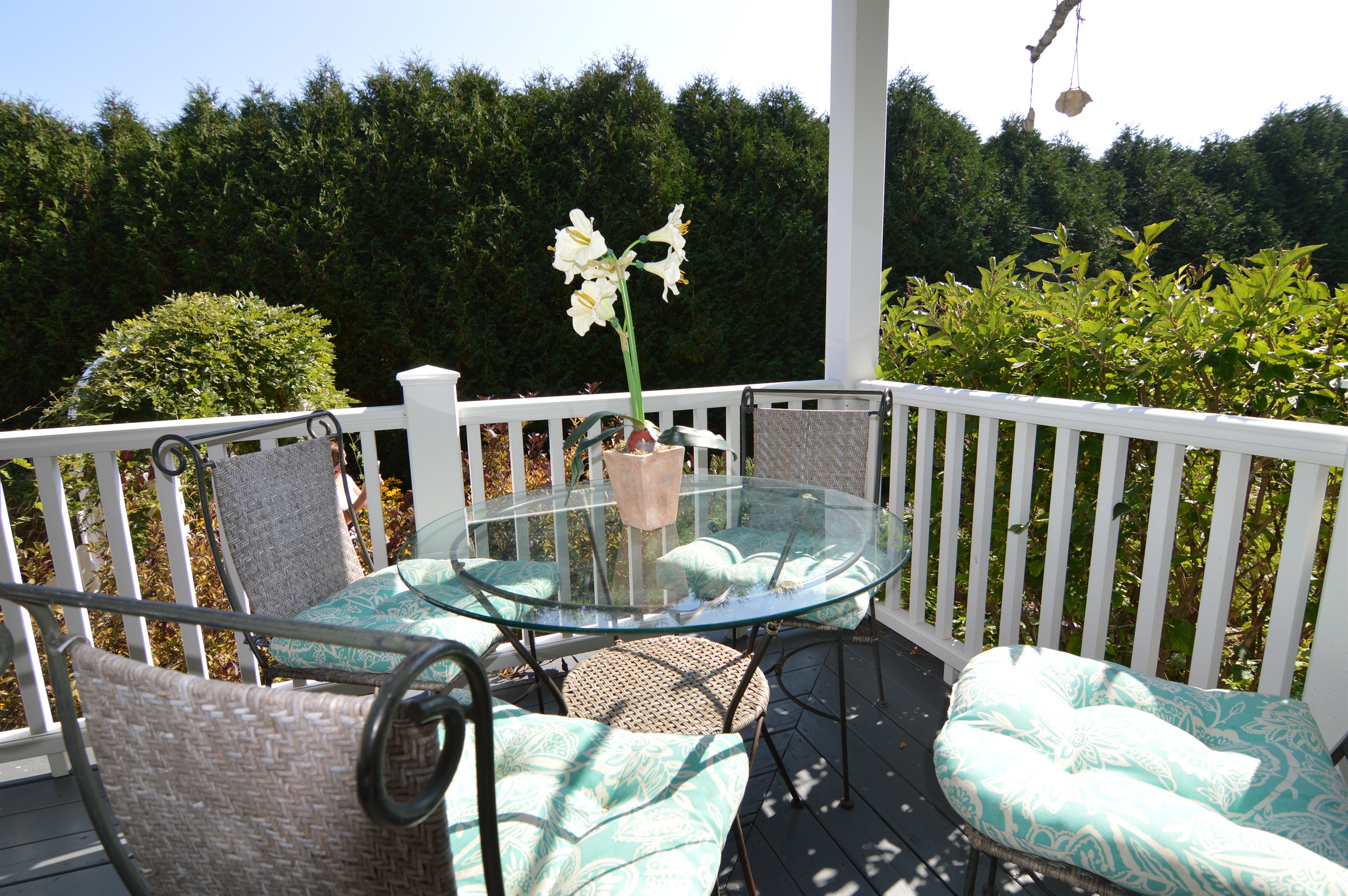 Amazing House, Amazing Garden, Downtown 6