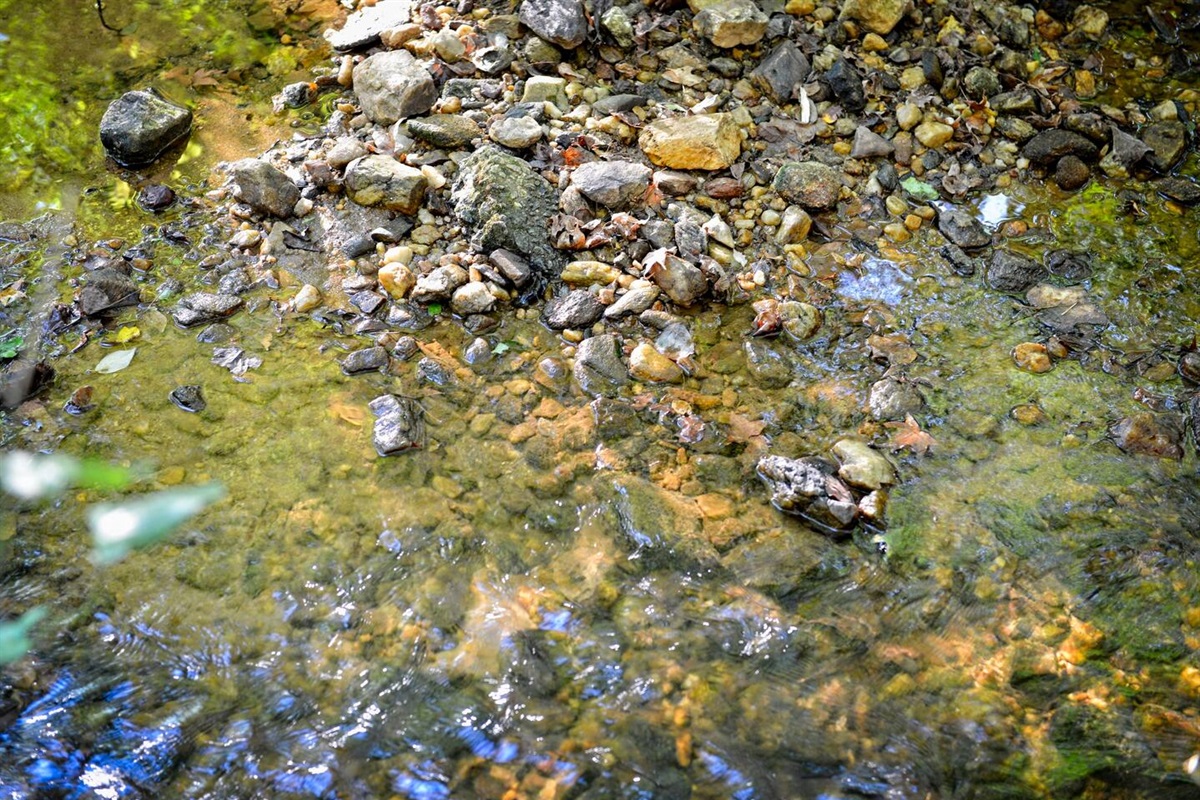 The backyard bubbling creek will ensure hours of fun for the kids and adults alike in your group!