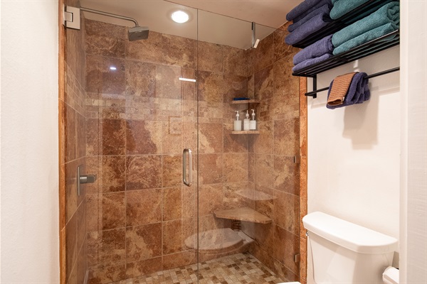 Shower and toilet