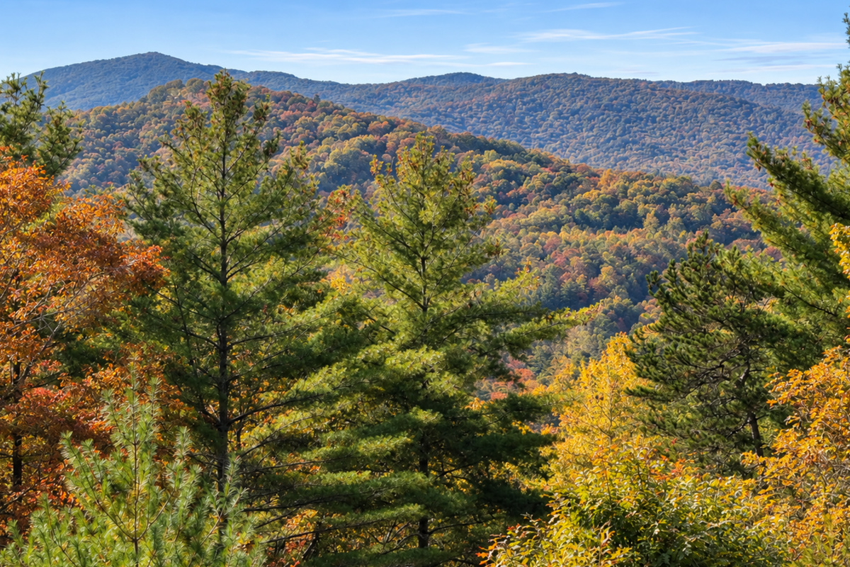 Endless horizons, painted skies... Blue Ridge in all its glory!