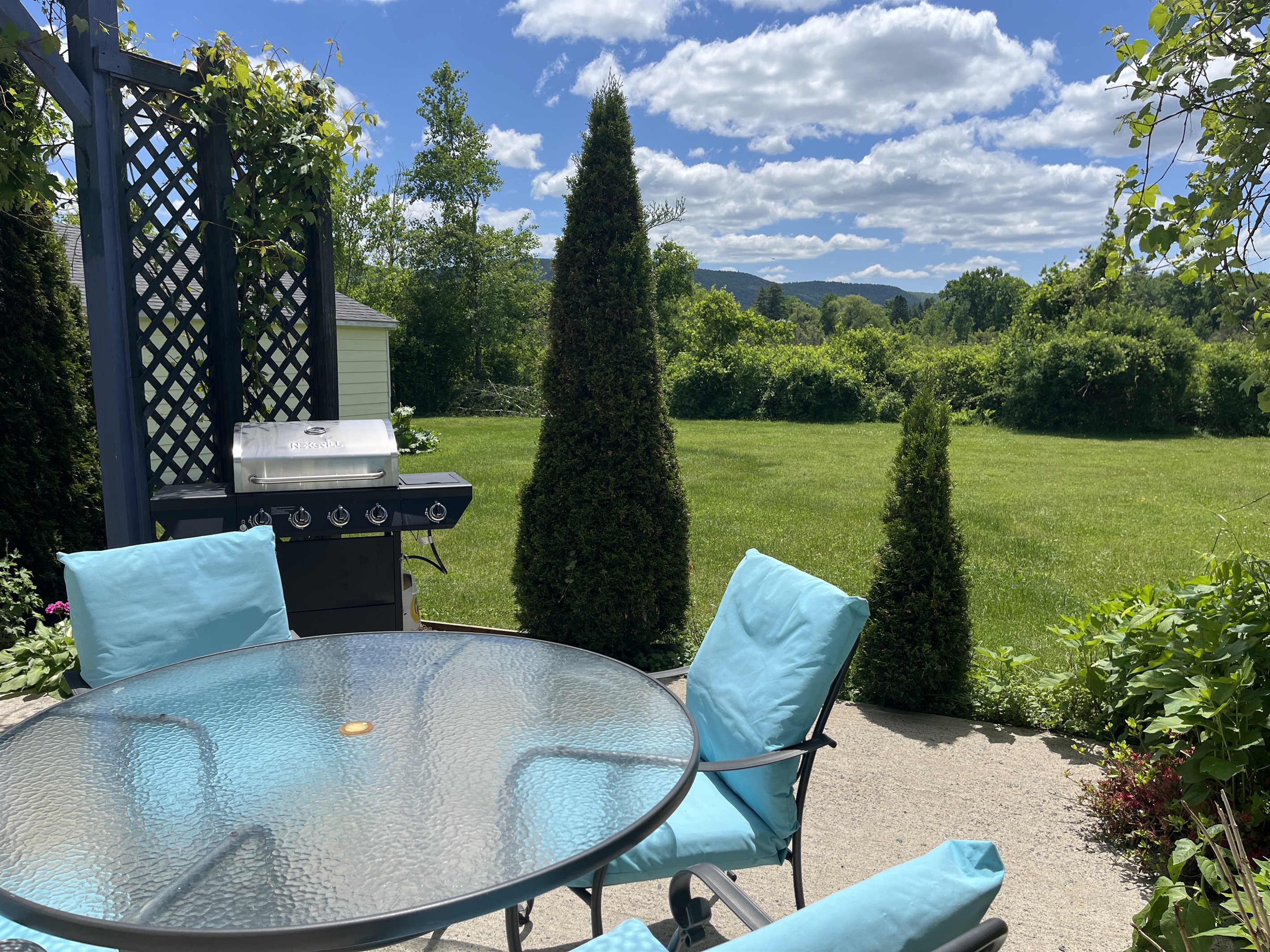 Patio and grill area